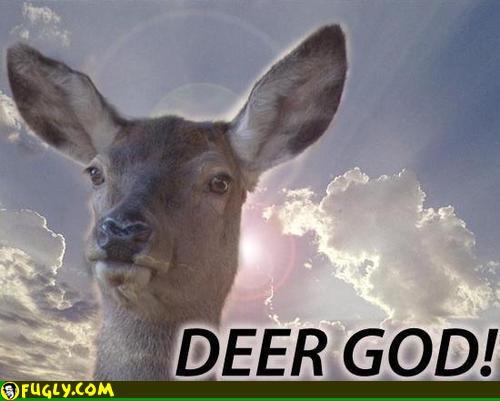 deer-god.thumb.jpg.020a162b876911645ef91